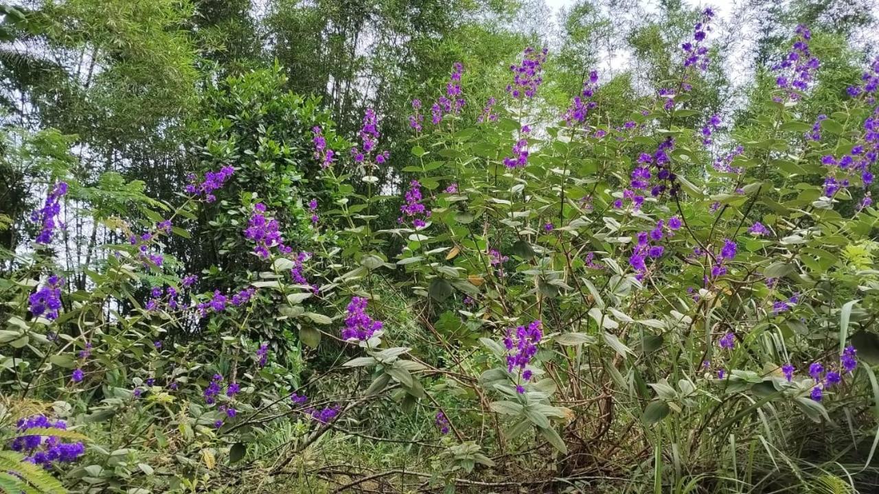 Pousada Morretes Arraial Kültér fotó