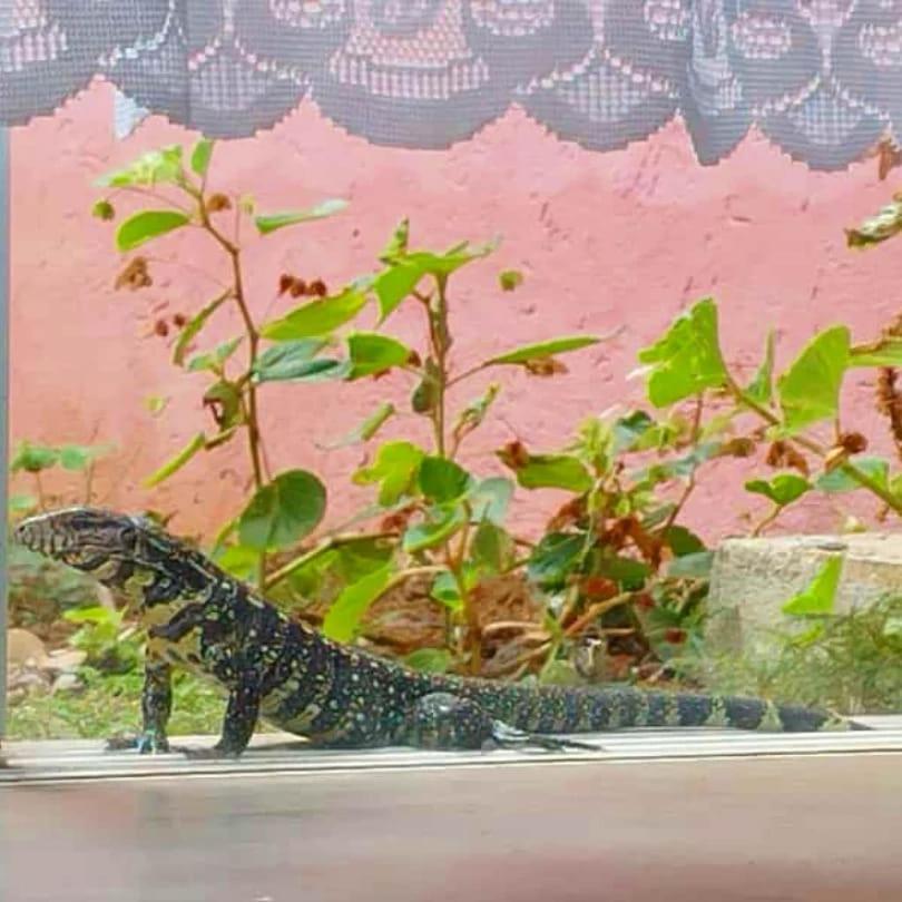 Pousada Morretes Arraial Kültér fotó